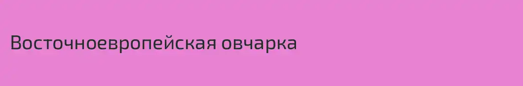 Восточноевропейская овчарка